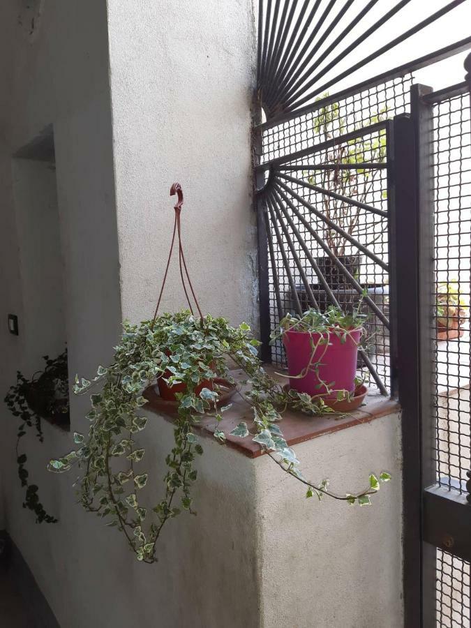 B&B Il Nespolo サレルノ エクステリア 写真